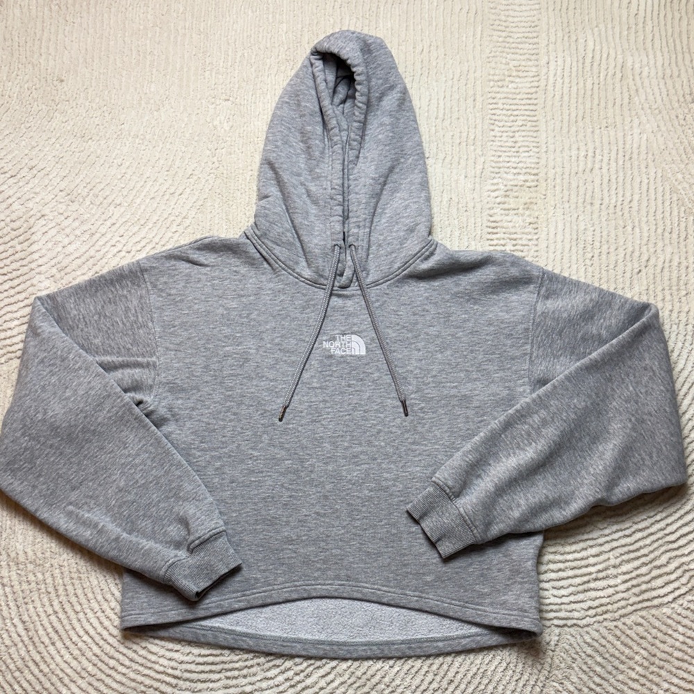 The North Face Evolution Gray Pullover Hoodie - image 1